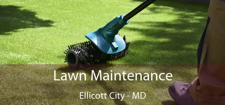 Lawn Maintenance Ellicott City - MD