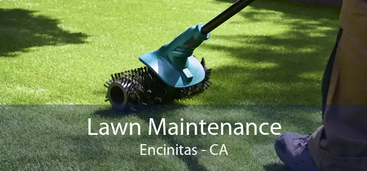 Lawn Maintenance Encinitas - CA