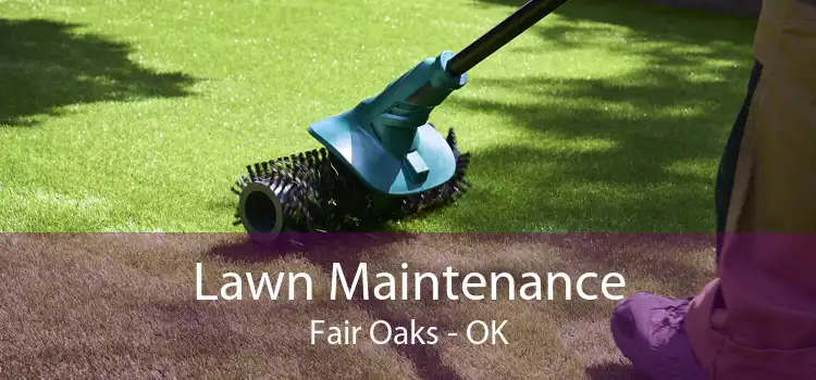Lawn Maintenance Fair Oaks - OK