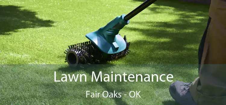  Lawn Maintenance Fair Oaks - OK