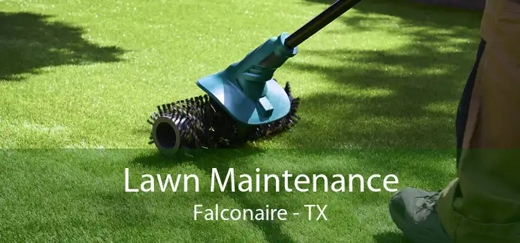 Lawn Maintenance Falconaire - TX