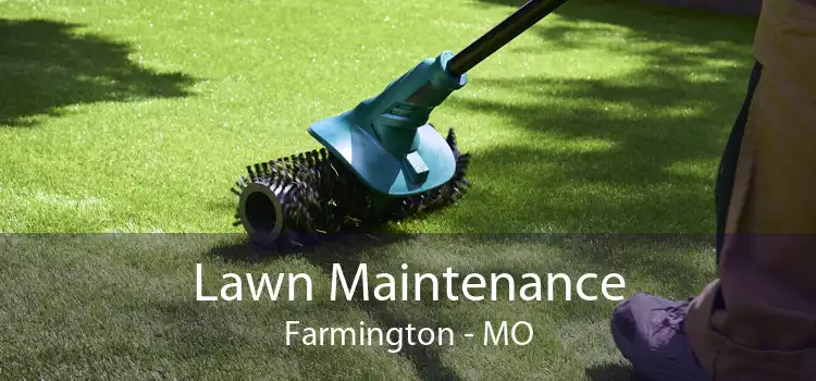 Lawn Maintenance Farmington - MO