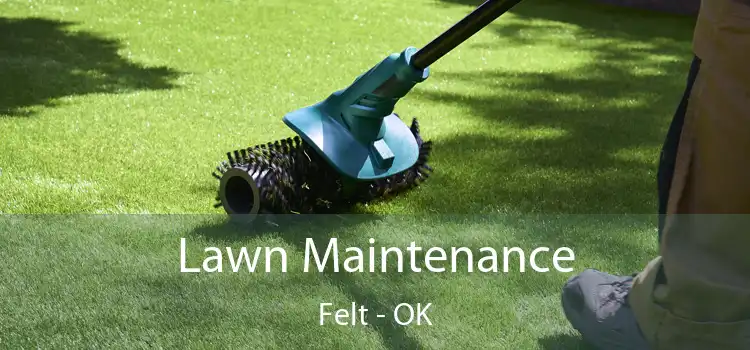  Lawn Maintenance Felt - OK
