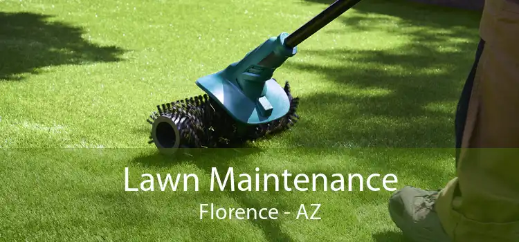 Lawn Maintenance Florence - AZ