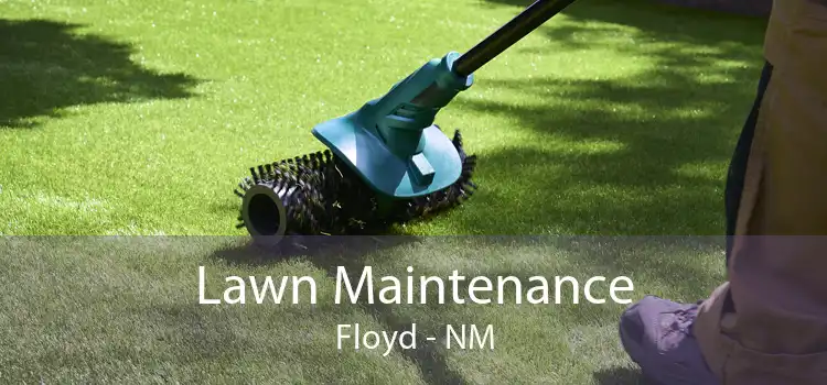 Lawn Maintenance Floyd - NM