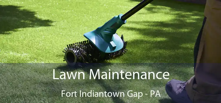  Lawn Maintenance Fort Indiantown Gap - PA