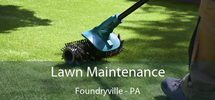 Lawn Maintenance Foundryville - PA