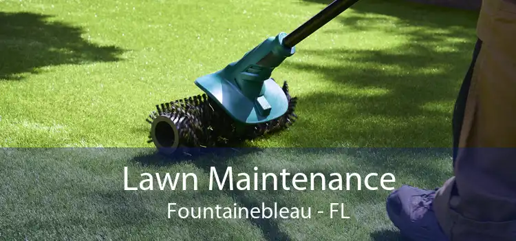 Lawn Maintenance Fountainebleau - FL