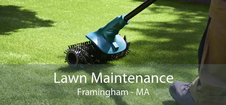 Lawn Maintenance Framingham - MA