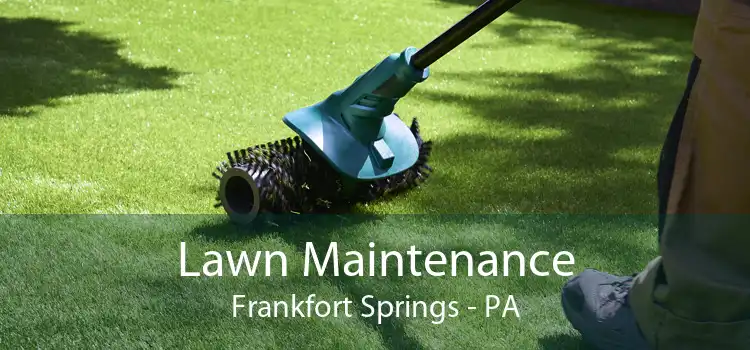 Lawn Maintenance Frankfort Springs - PA