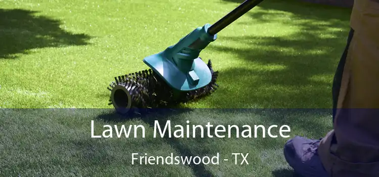  Lawn Maintenance Friendswood - TX
