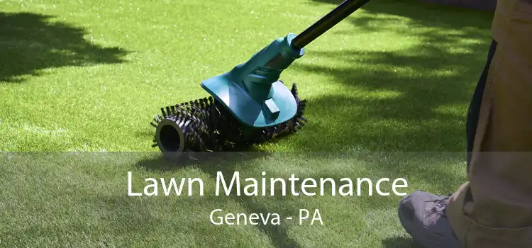 Lawn Maintenance Geneva - PA