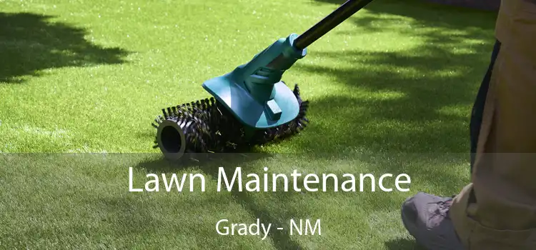 Lawn Maintenance Grady - NM