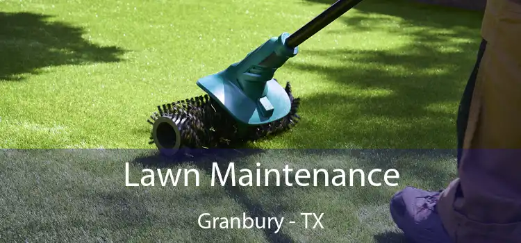  Lawn Maintenance Granbury - TX