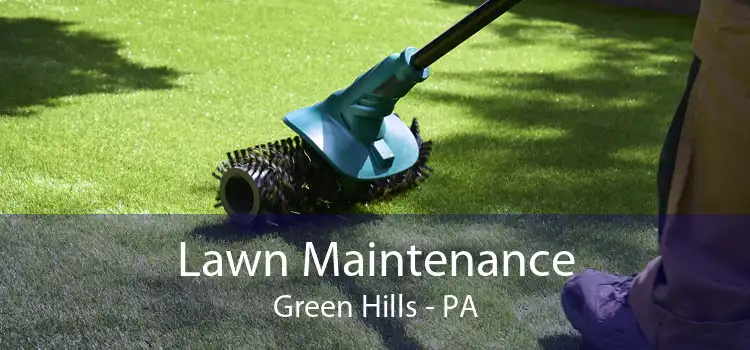Lawn Maintenance Green Hills - PA
