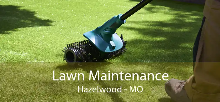 Lawn Maintenance Hazelwood - MO