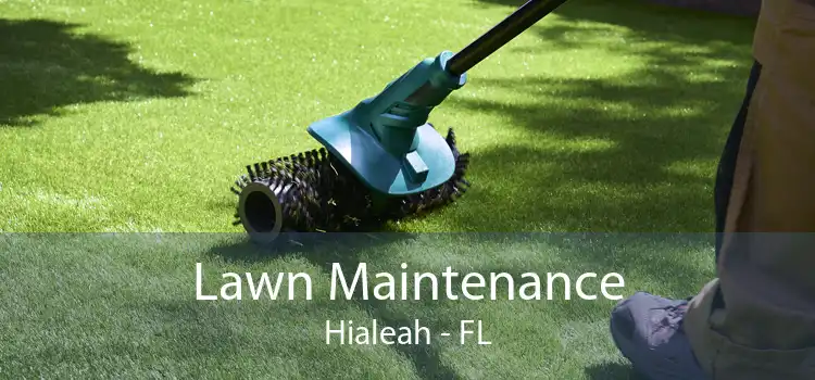 Lawn Maintenance Hialeah - FL
