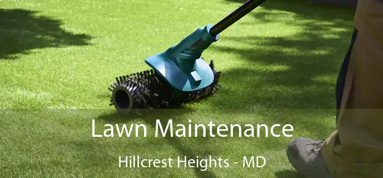 Lawn Maintenance Hillcrest Heights - MD