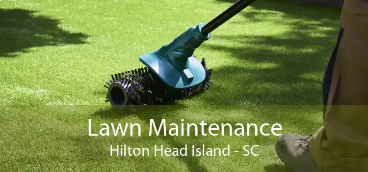Lawn Maintenance Hilton Head Island - SC