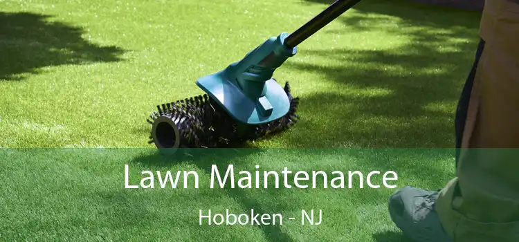 Lawn Maintenance Hoboken - NJ