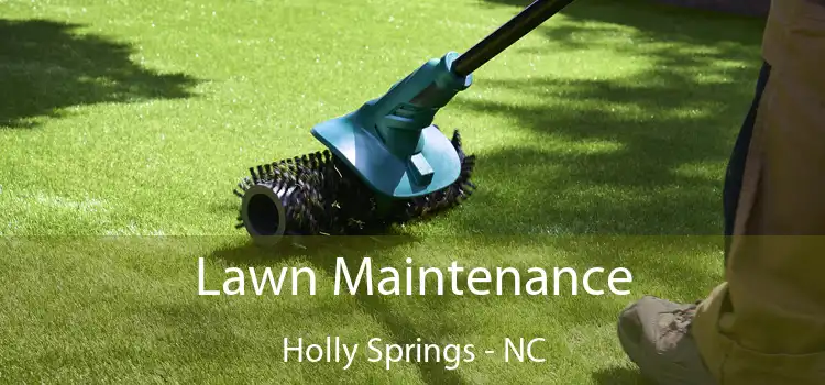 Lawn Maintenance Holly Springs - NC