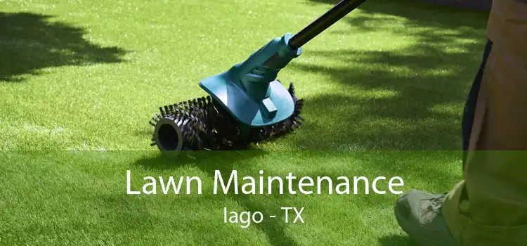 Lawn Maintenance Iago - TX