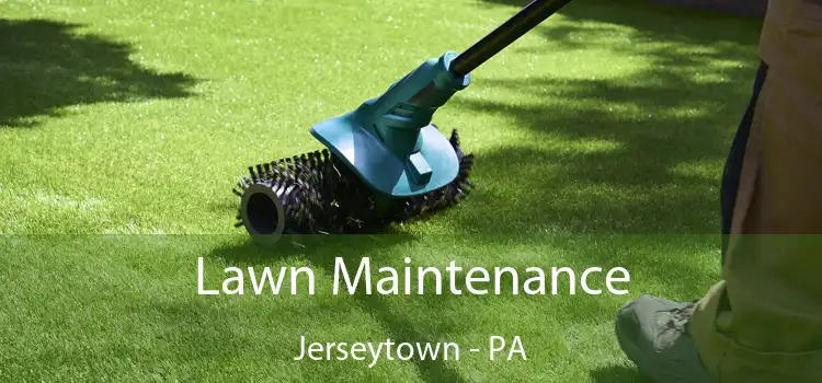 Lawn Maintenance Jerseytown - PA