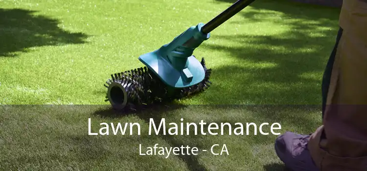 Lawn Maintenance Lafayette - CA