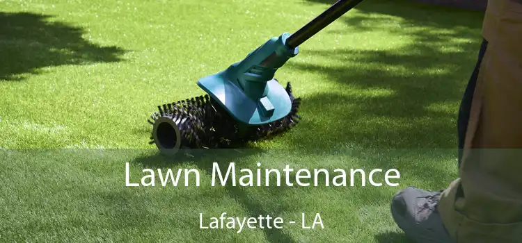 Lawn Maintenance Lafayette - LA