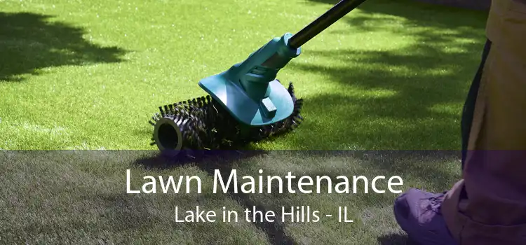 Lawn Maintenance Lake in the Hills - IL