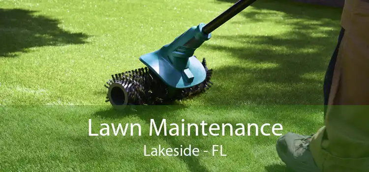 Lawn Maintenance Lakeside - FL
