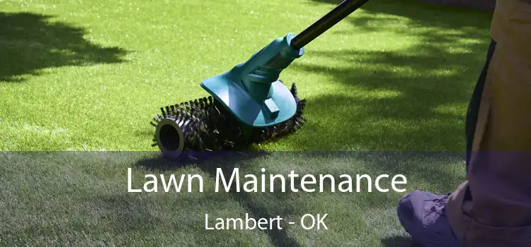 Lawn Maintenance Lambert - OK