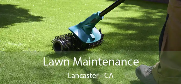 Lawn Maintenance Lancaster - CA