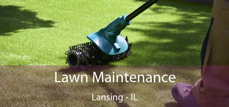  Lawn Maintenance Lansing - IL