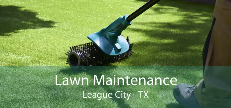 Lawn Maintenance League City - TX