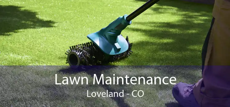 Lawn Maintenance Loveland - CO