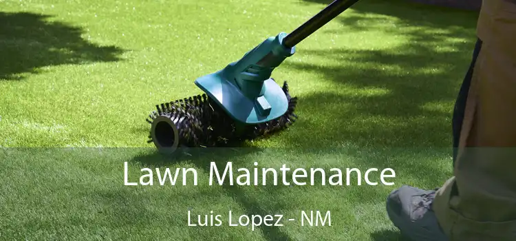 Lawn Maintenance Luis Lopez - NM