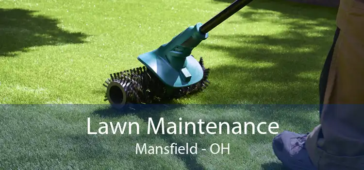 Lawn Maintenance Mansfield - OH