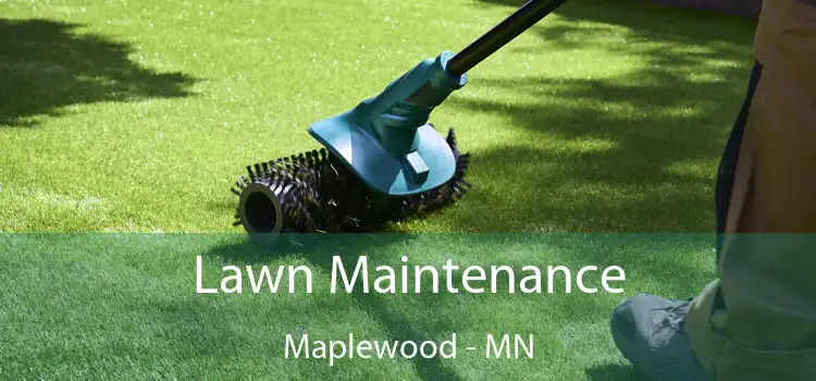 Lawn Maintenance Maplewood - MN