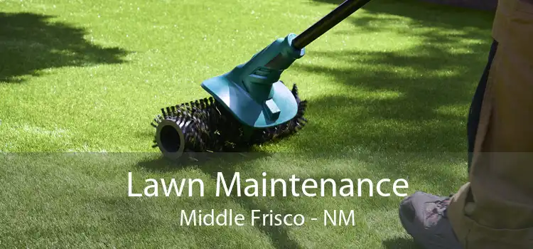 Lawn Maintenance Middle Frisco - NM