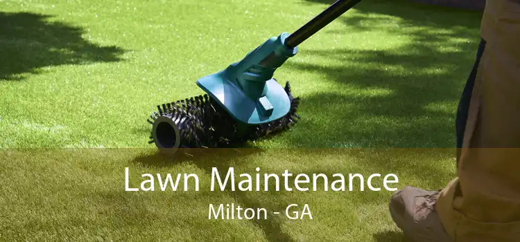 Lawn Maintenance Milton - GA