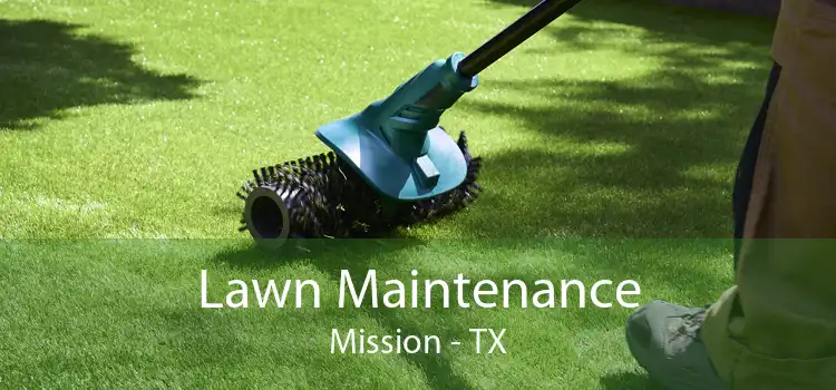 Lawn Maintenance Mission - TX