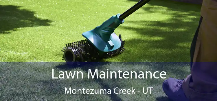  Lawn Maintenance Montezuma Creek - UT