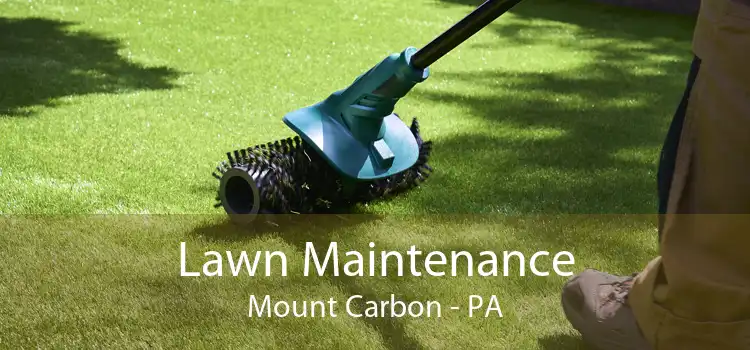 Lawn Maintenance Mount Carbon - PA