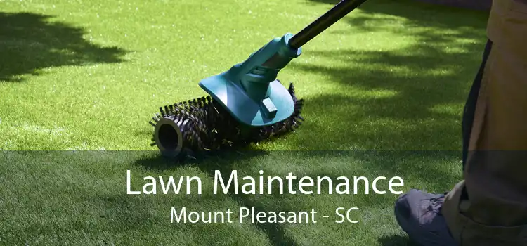 Lawn Maintenance Mount Pleasant - SC