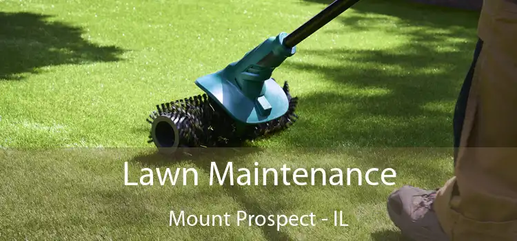 Lawn Maintenance Mount Prospect - IL