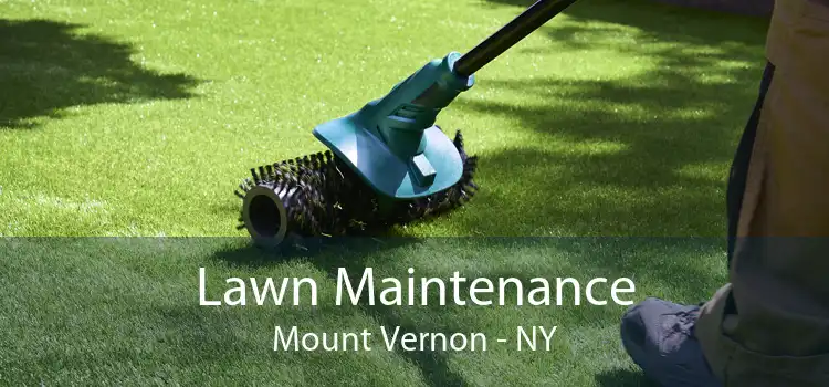 Lawn Maintenance Mount Vernon - NY