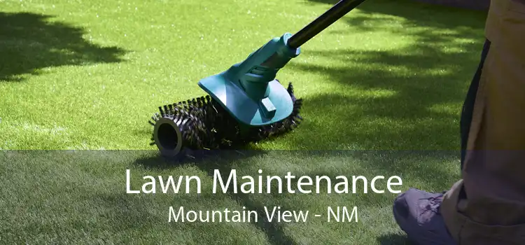 Lawn Maintenance Mountain View - NM