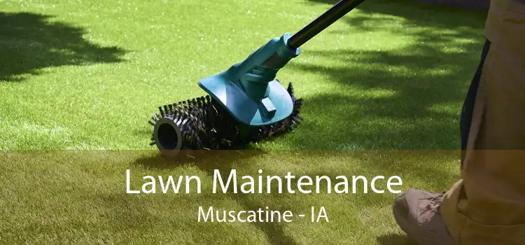 Lawn Maintenance Muscatine - IA