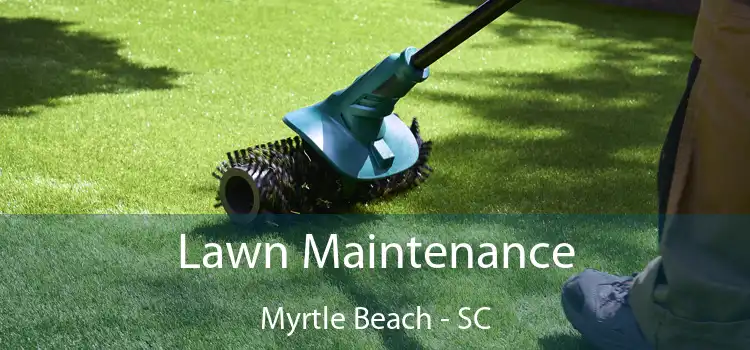 Lawn Maintenance Myrtle Beach - SC
